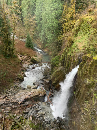 Drift Creek Falls