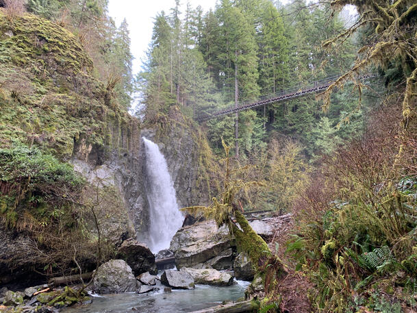 Drift Creek Falls