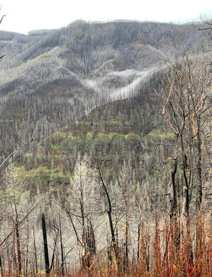 Fish Creek Drainage Looking West