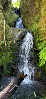 Triple Falls Late Summer