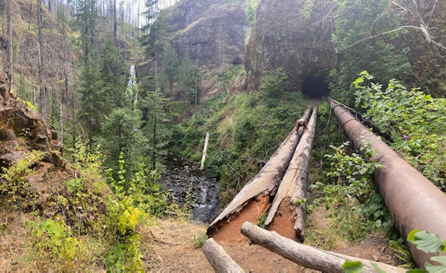 Do you dare? Cindi did!! South Fork Clackamas