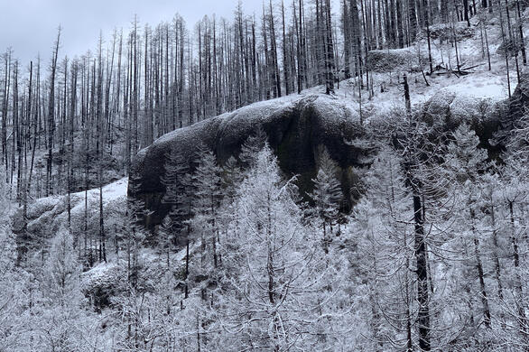 Cold Morning up Fish Creek. This is a color picture!