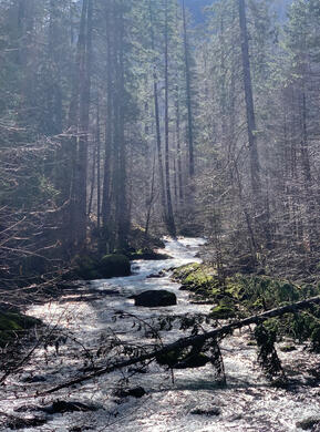 Fish Creek from the Old Concrete Bridge