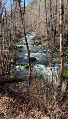 Fish Creek about 5 miles from 224