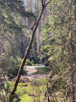 Clackamas Swimming Hole Below Riverside CG