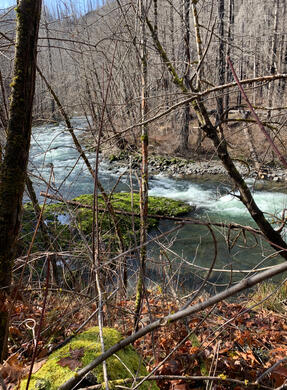 Fish Creek about 6 miles from 224