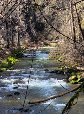 Fish Creek a few miles from 224