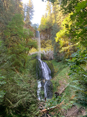 Pup Creek Falls