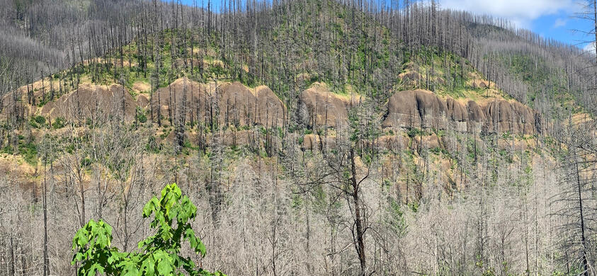 More Fish Creek Mountain Formations - in the Summer