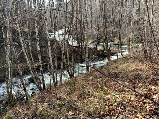 Third Creek Flowing into Fish Creek