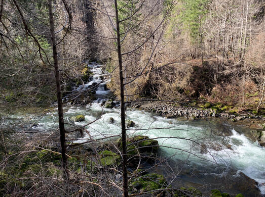 Wash Creek Confluence