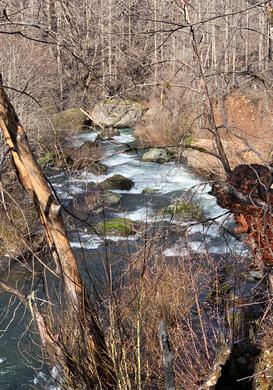 More Fish Creek about 5 miles from 224