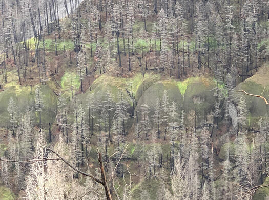 Fish Creek Mountain Formations