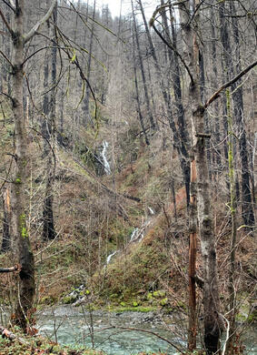 Tributary of Fish Creek