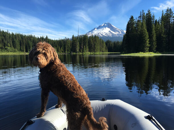 Trillium Lake