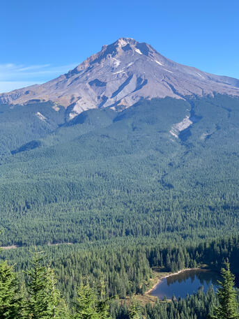 Just Mt Hood