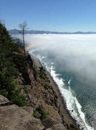 Looking Toward Manzanita