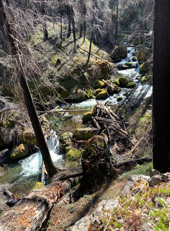 Canyon Below the Falls
