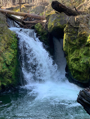 Hidden Falls in There