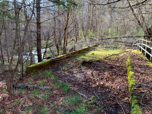 Old Bridge 1/2 Mile Below Lower Falls