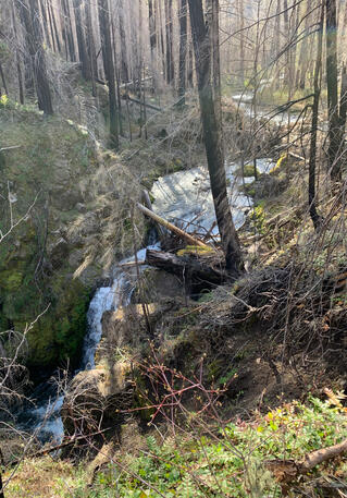 Lower Falls