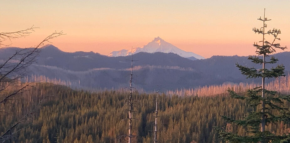 Mt Jefferson