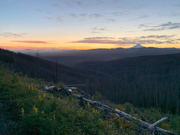 SF Clack and Mt Hood