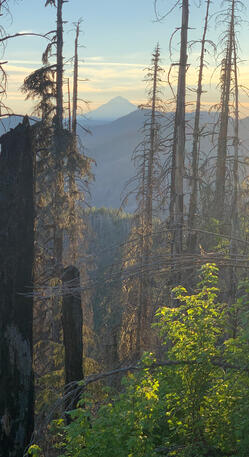 From the Top of Wash Creek