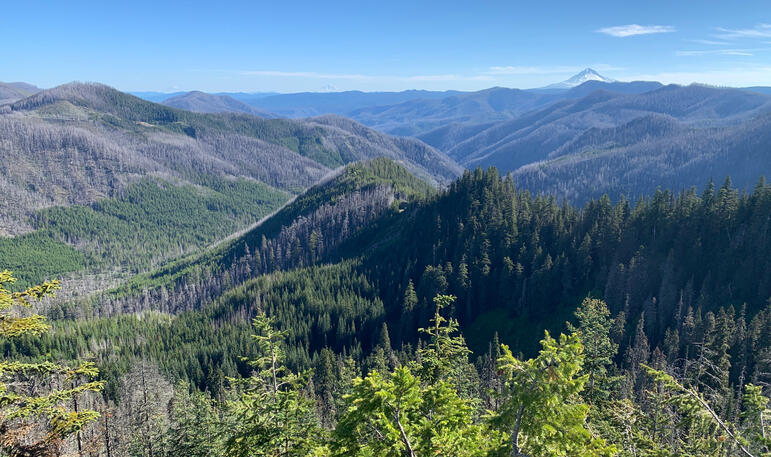 Ridge Dividing Wash and Fish Creeks